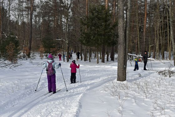 Higley Flow: Classic and skate skiing for all ages, skills