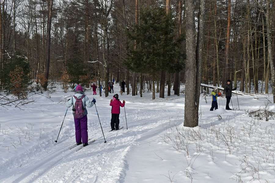 higley youth skiing