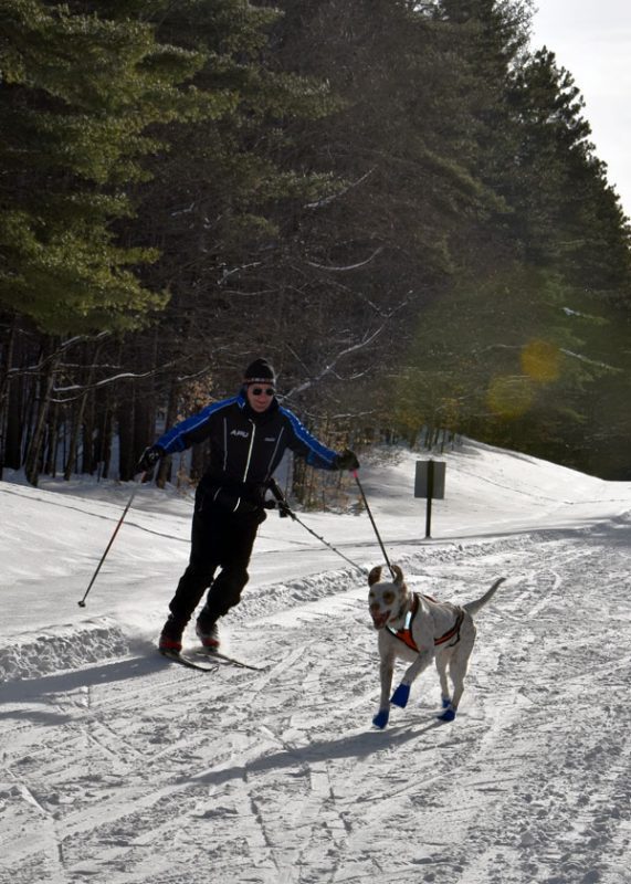 higley flow skijoring