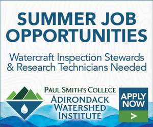 Summer job opportunities at Adirondack Watershed Institute