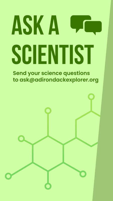 ask a scientist logo