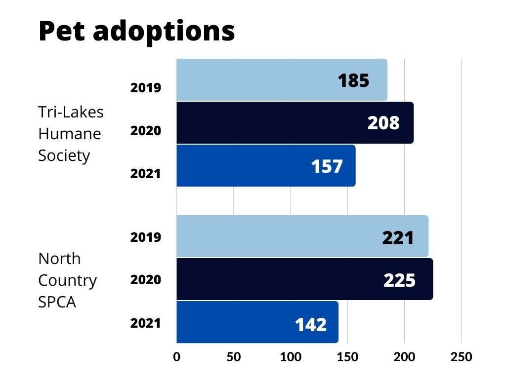 pet adoptions