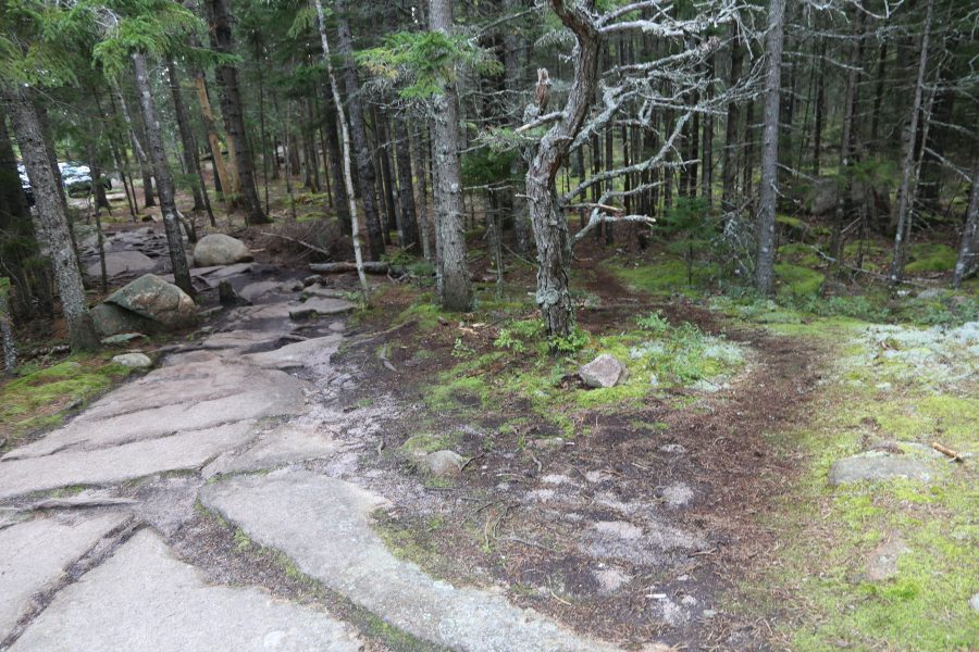 acadia national park social trail