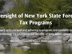 forest tax credit program audit