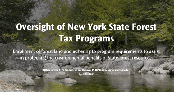 Audit: DEC fails to monitor forest tax breaks