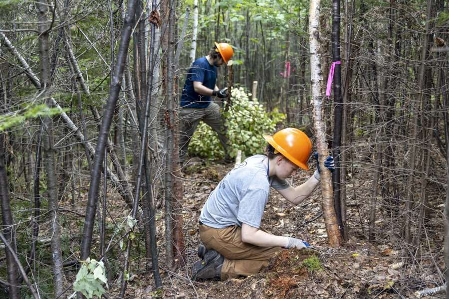 trail work