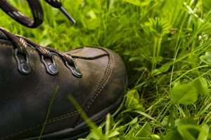 Greening your hike