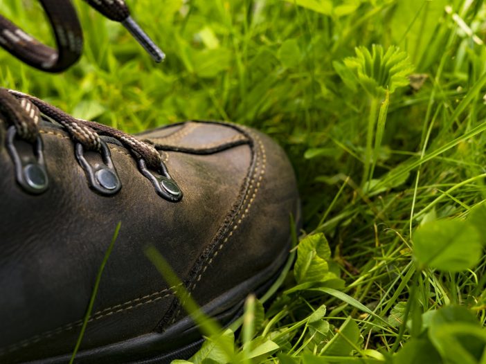 black leather shoe on the grass