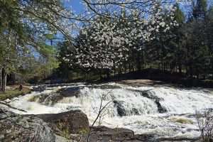 Choose your own waterfall adventure