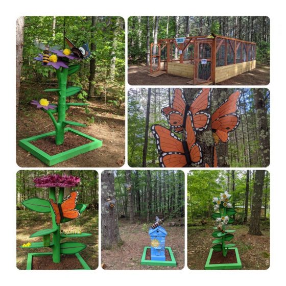 butterfly house