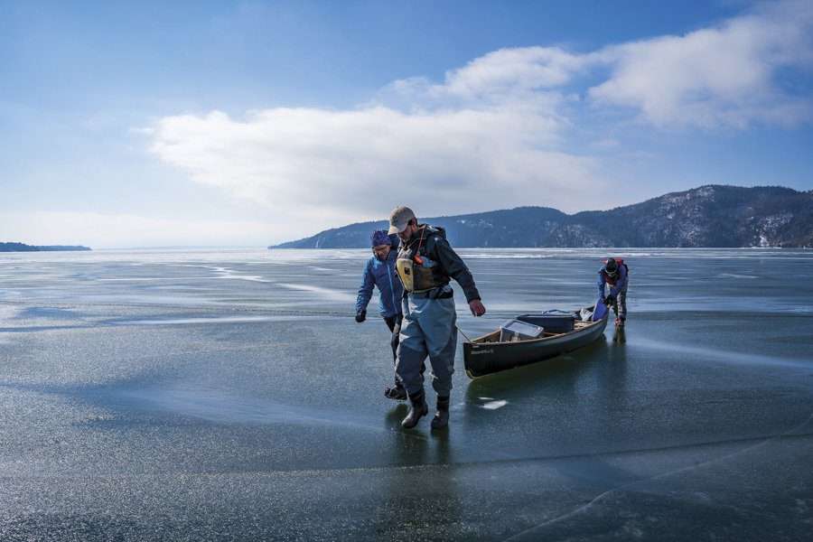 Loon rescue