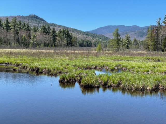 perkins road biking trek