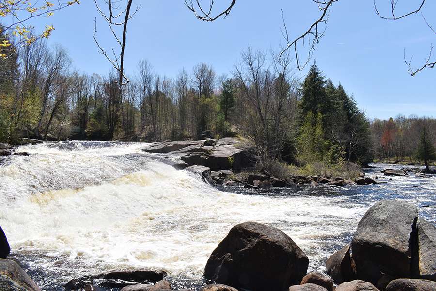 Sinclair Falls ripping around the bend in spring.