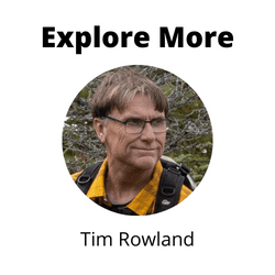 explore more tim rolwand