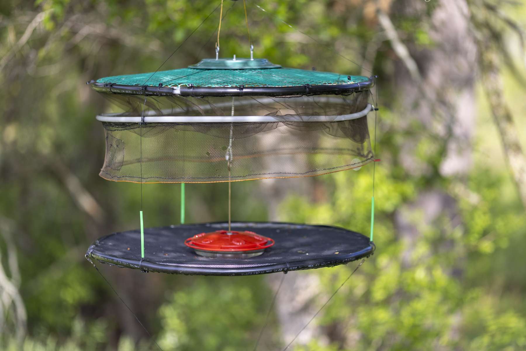 A hummingbird trap