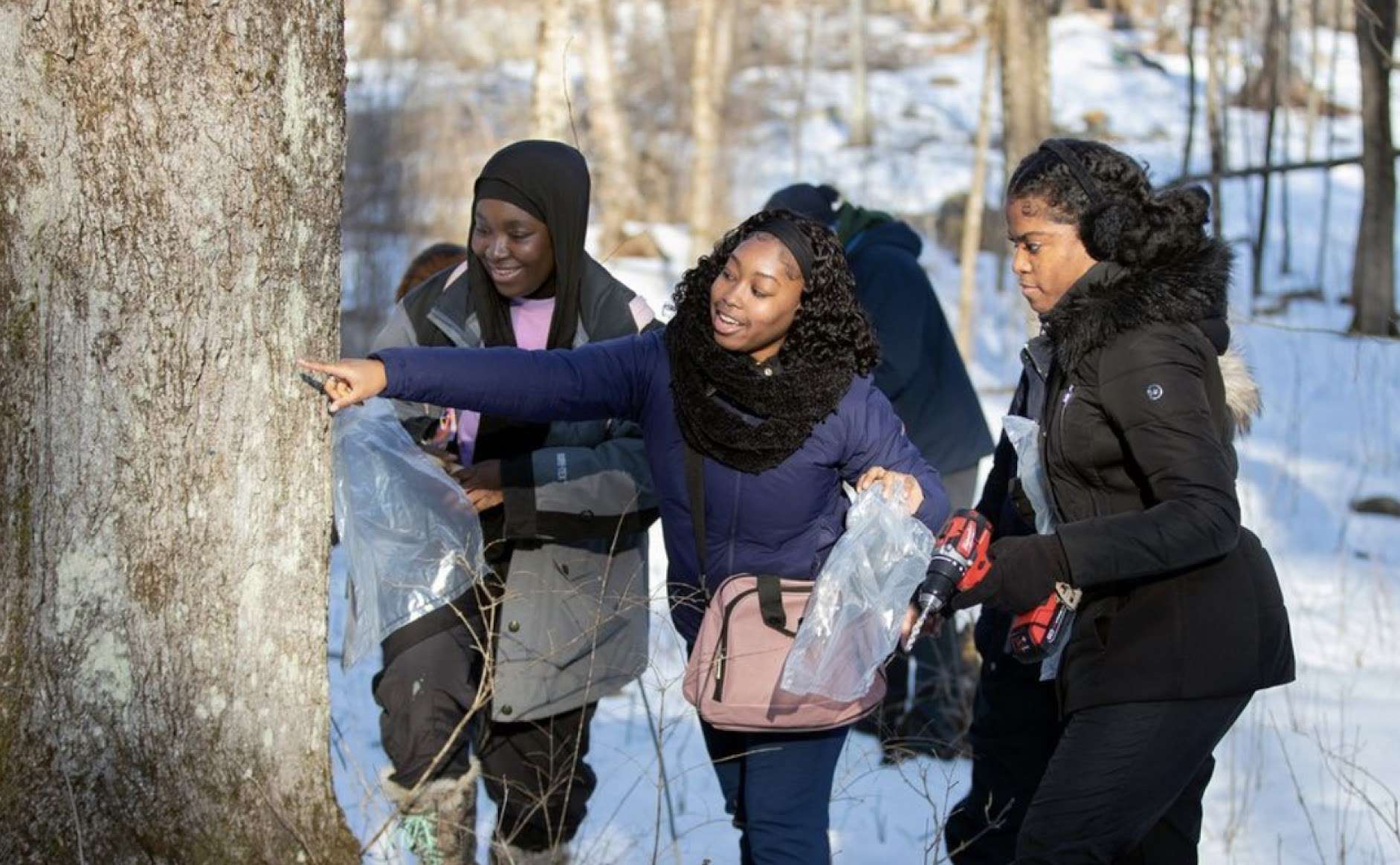 Adirondacks alternative spring break