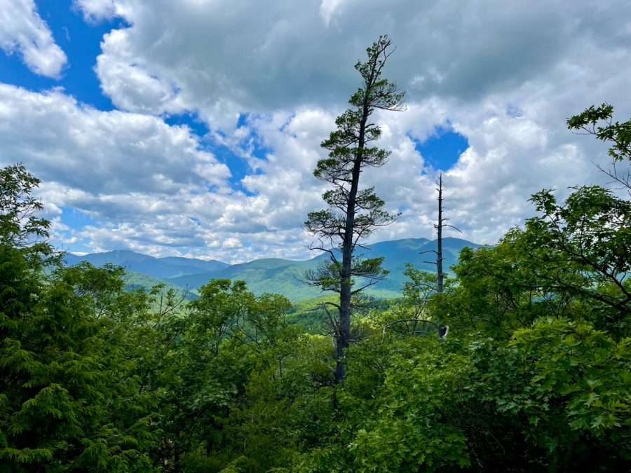 Western view of Lincoln Pond overlook