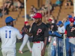 riverpigs baseball