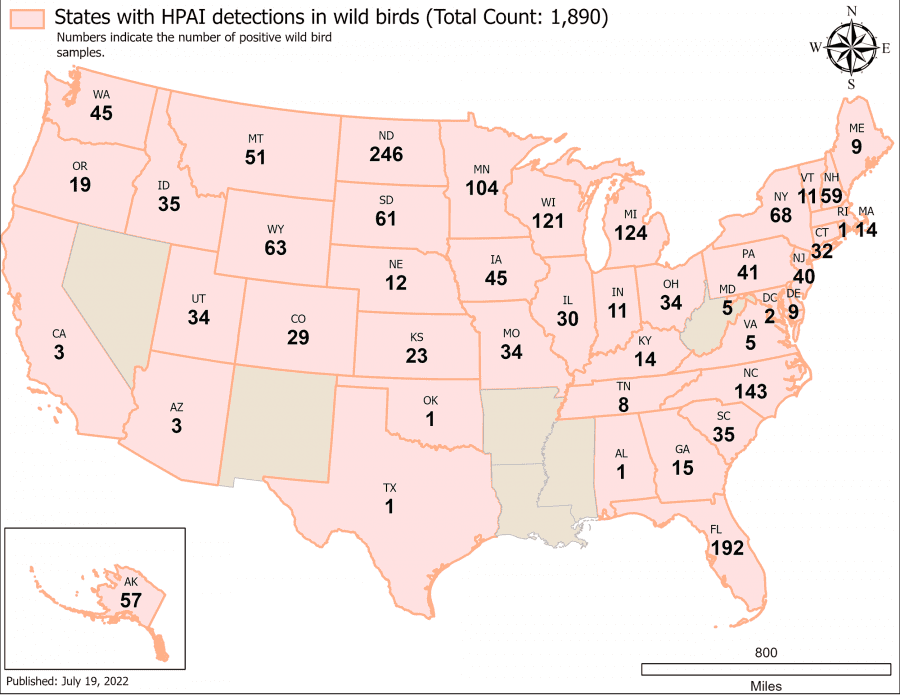 avian flu in wild birds map