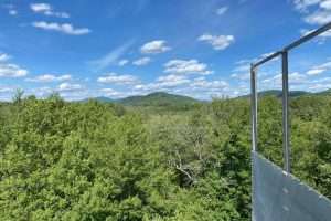 Historic fire tower finds new home in Speculator