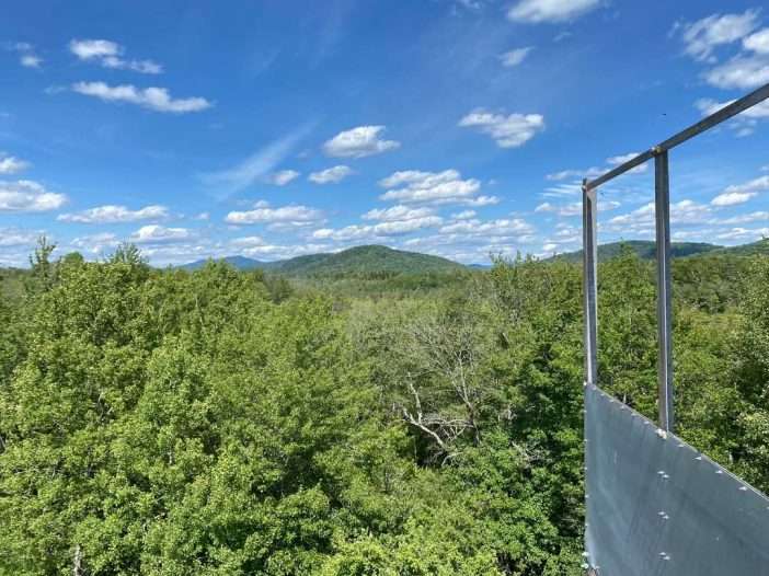 view from tower