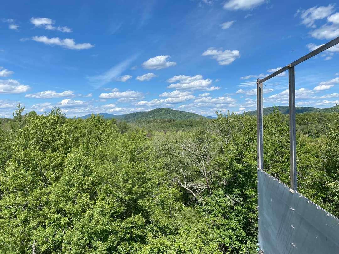 view from tower