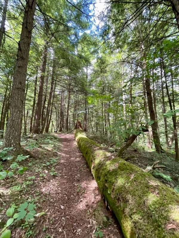 west mill brook trail