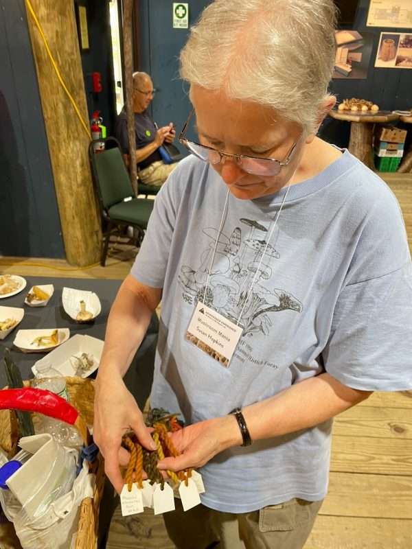 Susan Hopkins shows yarns dyed with mushrooms.