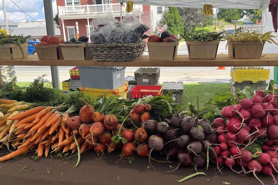 saranac lake farmers market