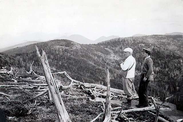 Summit of burned over Phelps - 1930s, Hudowalski Collection, Adirondack History Museum