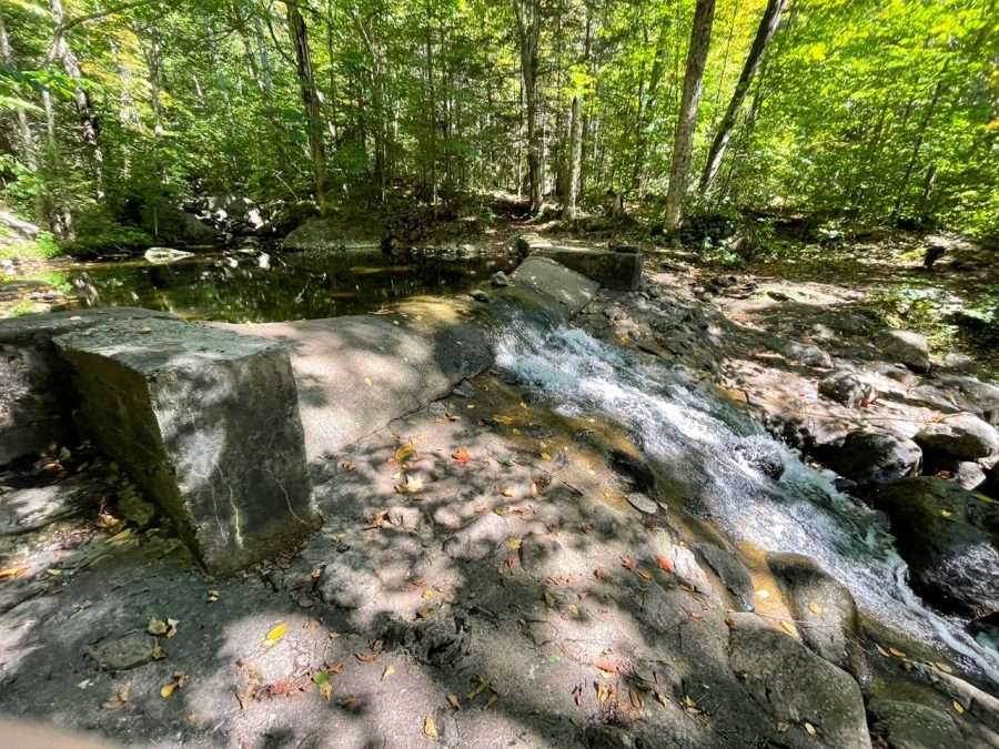 The old dam on Little Ray Brook.