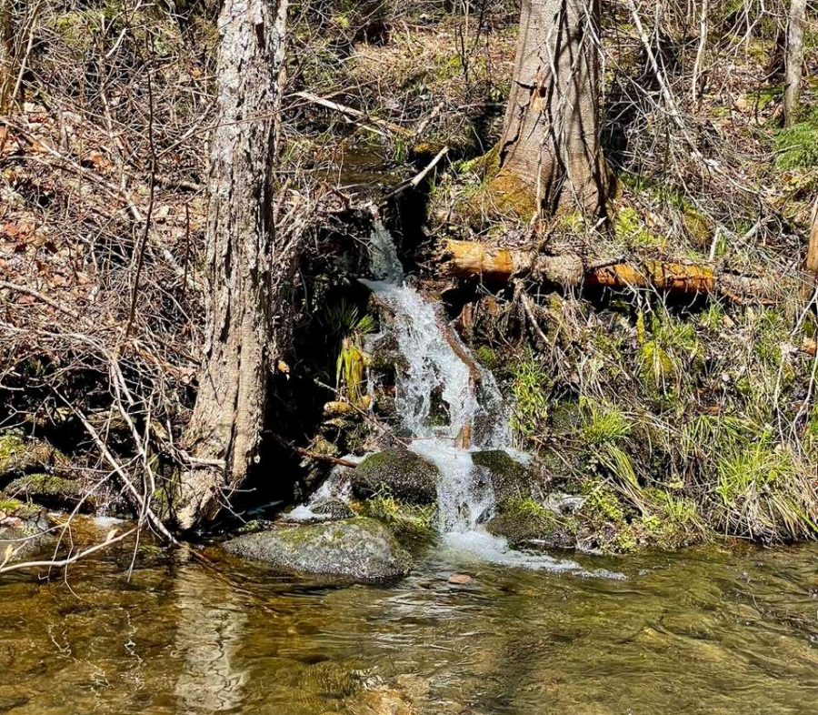 These falls, which feed Bell Mountain Brook, are quite charming. But they are not OK Slip Falls.