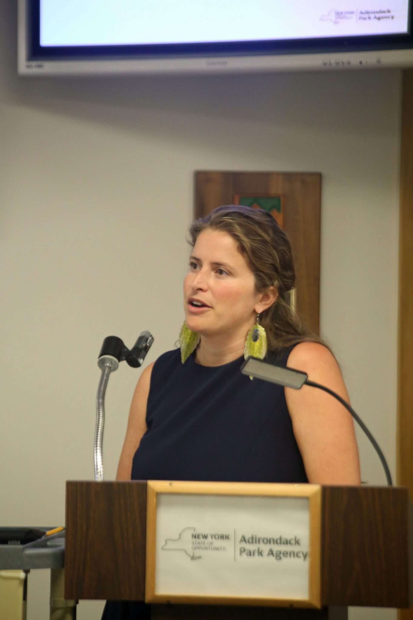 Megan Phillips, deputy director of planning at the Adirondack Park Agency, speaks before commissioners in Ray Brook.