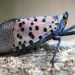 Ask a scientist: Spotted lanternfly