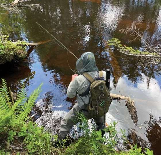 What’s in store for Adirondack brook trout?