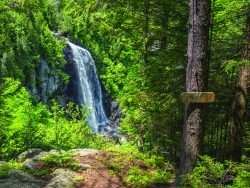 OK slip falls