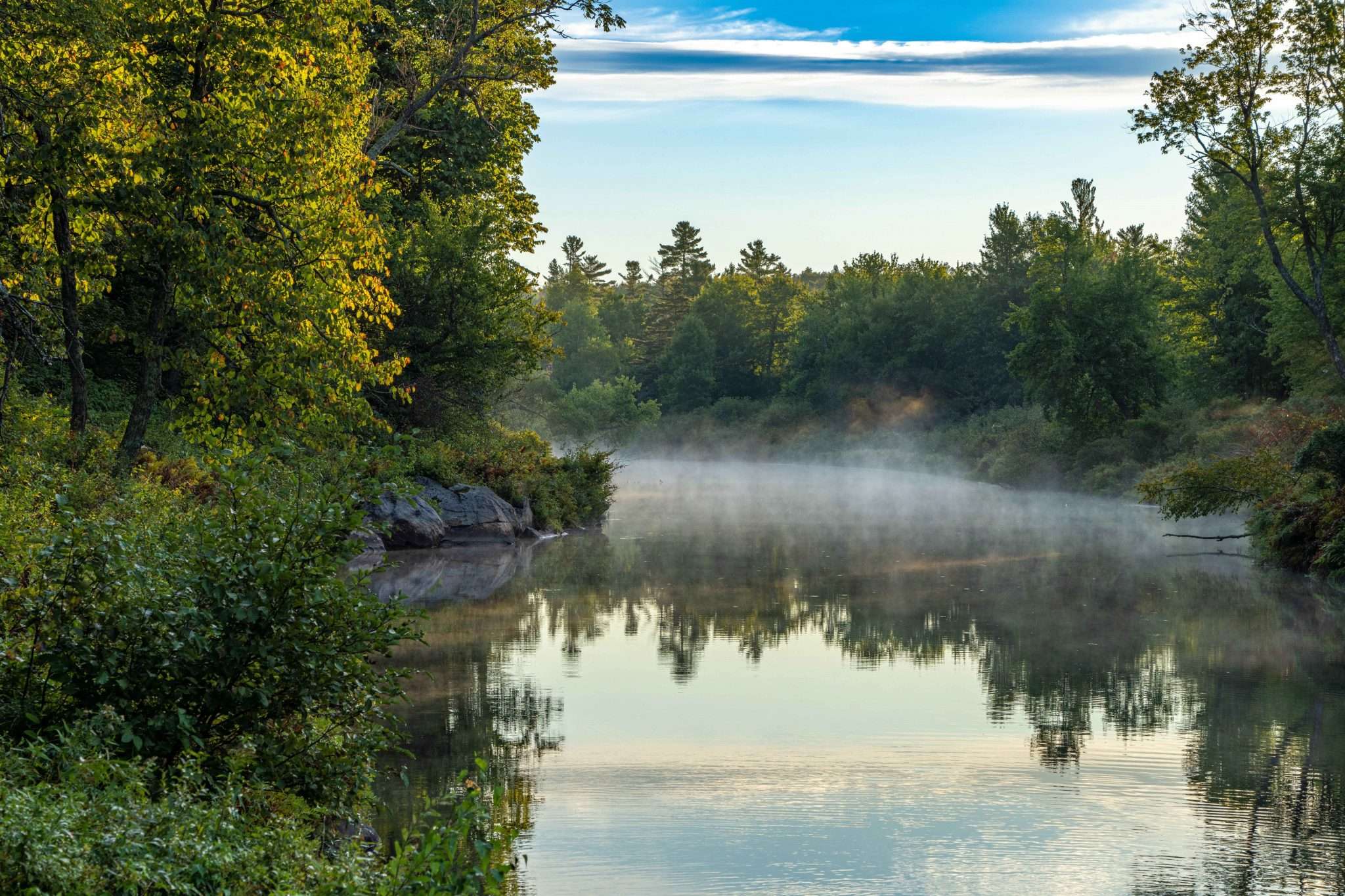 Grasse River Wilderness Preserve