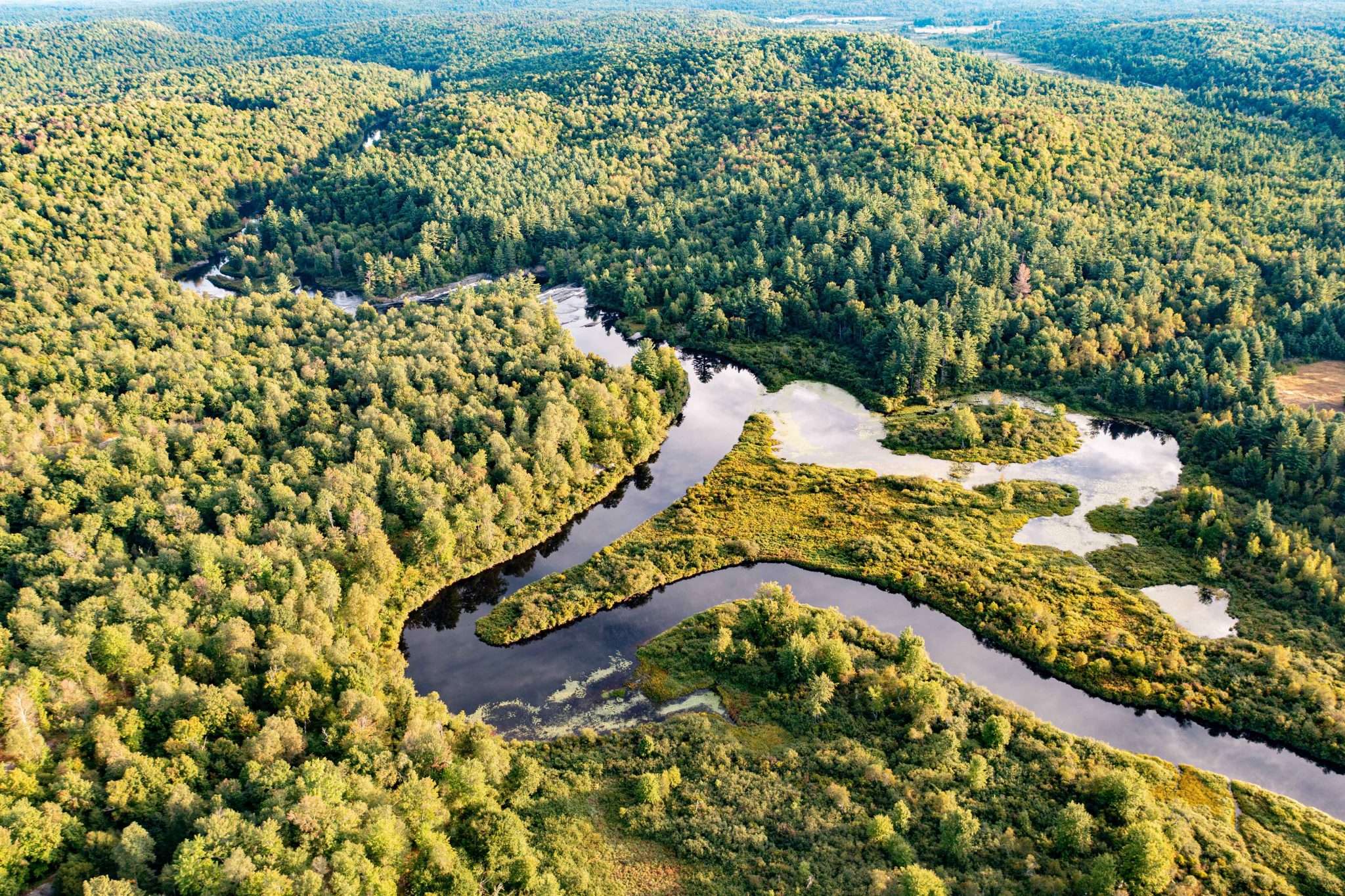 Grasse River Wilderness Preserve