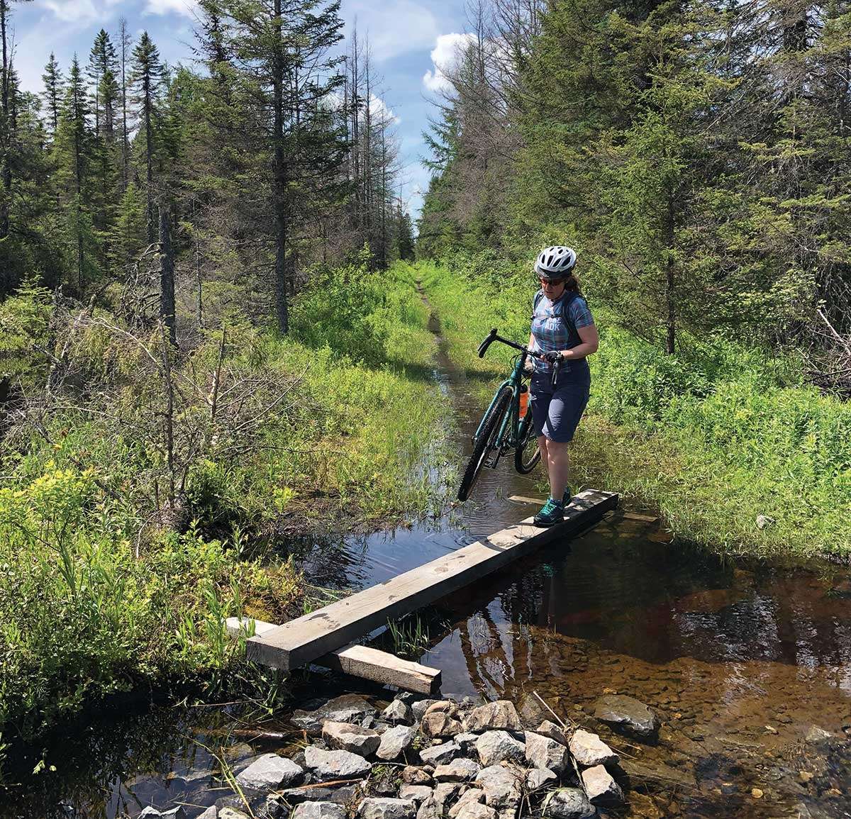 bloomingdale Bog Trail