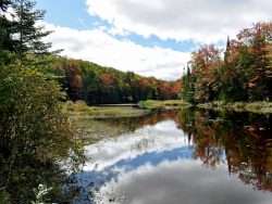 Brandy Brook Flow, a finger of Cranberry Lake, as seen from campsite six near the junction to the Burntbridge Pond Trail.