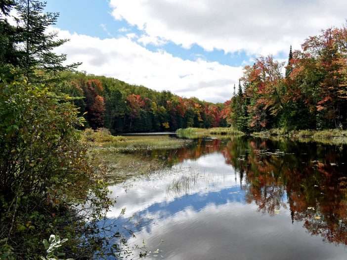 Brandy Brook Flow, a finger of Cranberry Lake, as seen from campsite six near the junction to the Burntbridge Pond Trail.