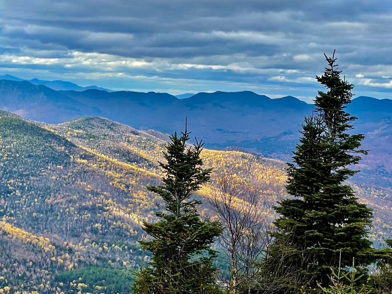 The last of the fall color from near the summit.