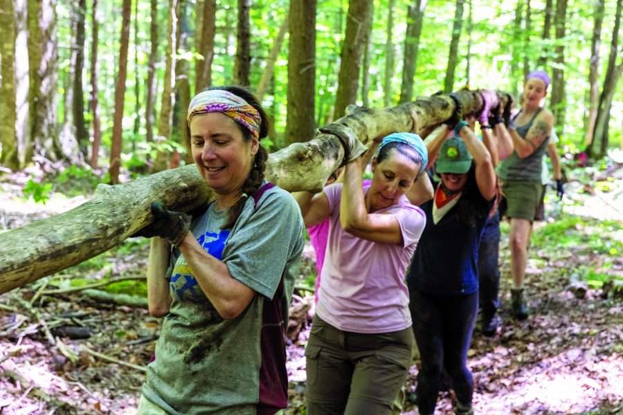 46ers carrying log