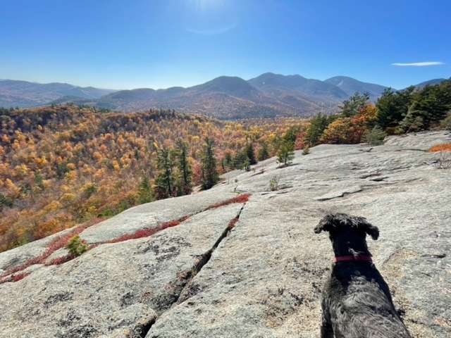 A great open ridge offers views of the Boquet Valley, Giant and Rocky Peak Ridge, Lake Champlain and the Hamlet of Elizabethtown.