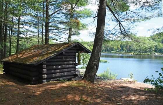 Middle Settlement Lake: Engulfed in wilderness