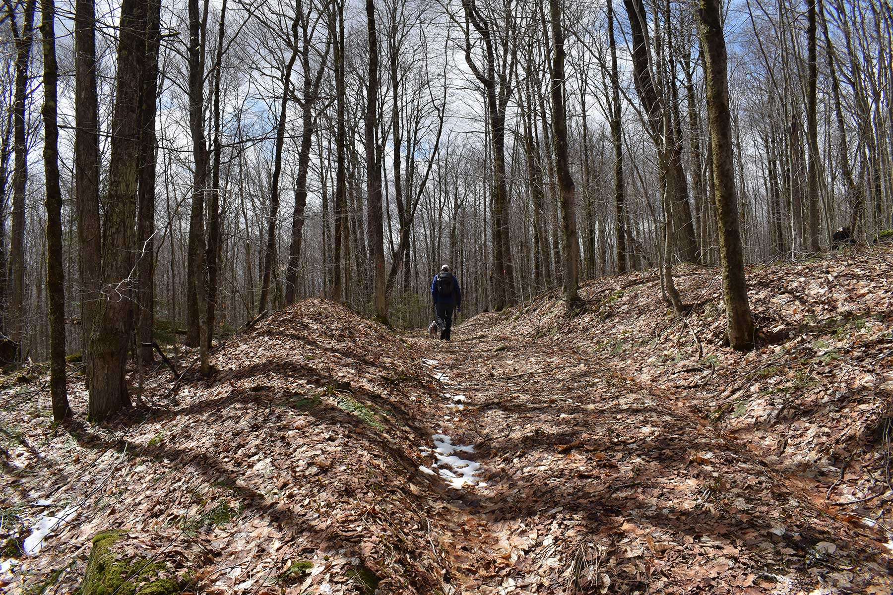 Tooley mountain trail