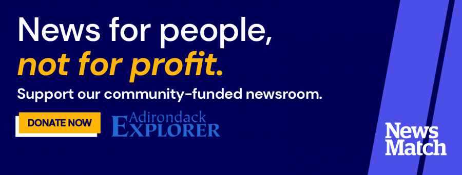 newsmatch banner