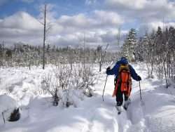 skiing in deep snow