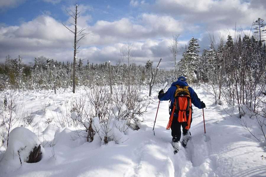 skiing in deep snow