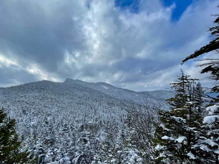 Endless forests in the High Peaks Wilderness, viewed from an overlook on the Lost Brook tract.
